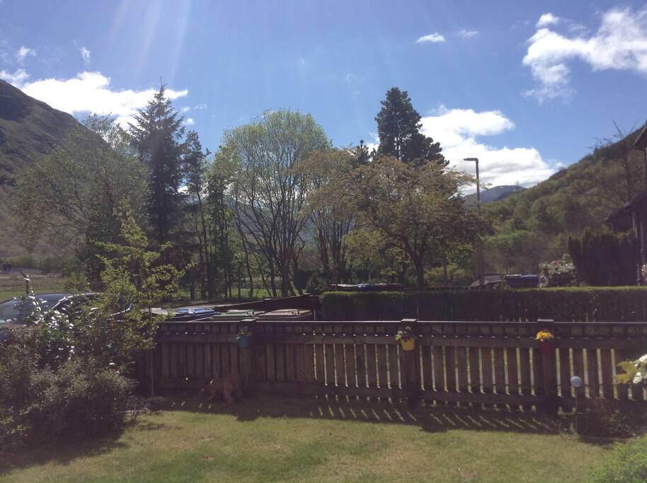 View from the garden.