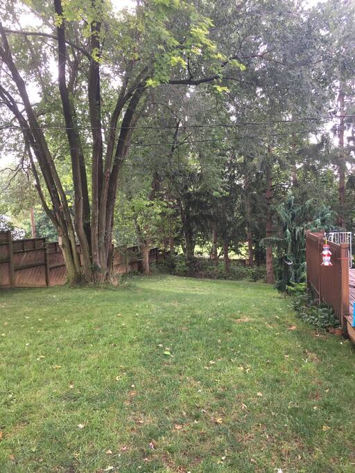 Yard