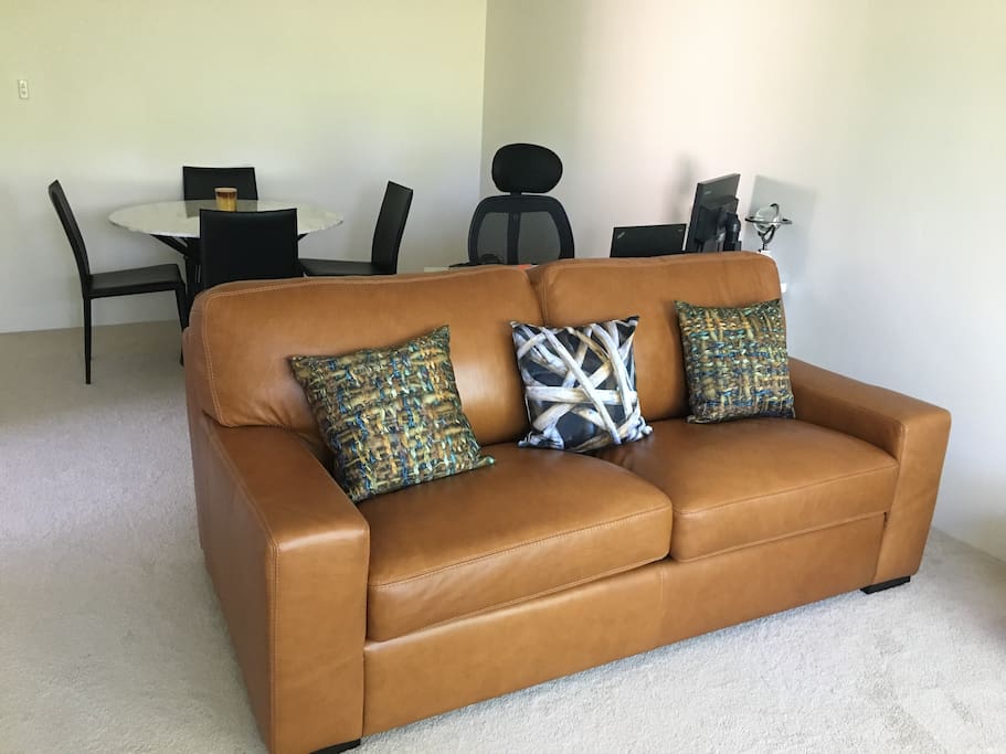 Leather sofa bed