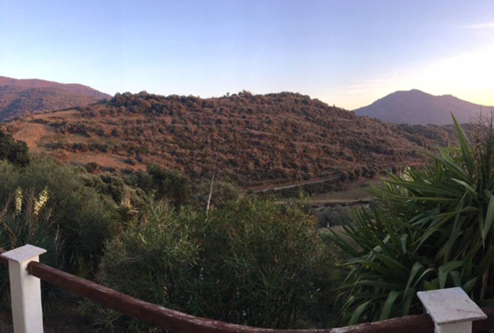Vue panoramique