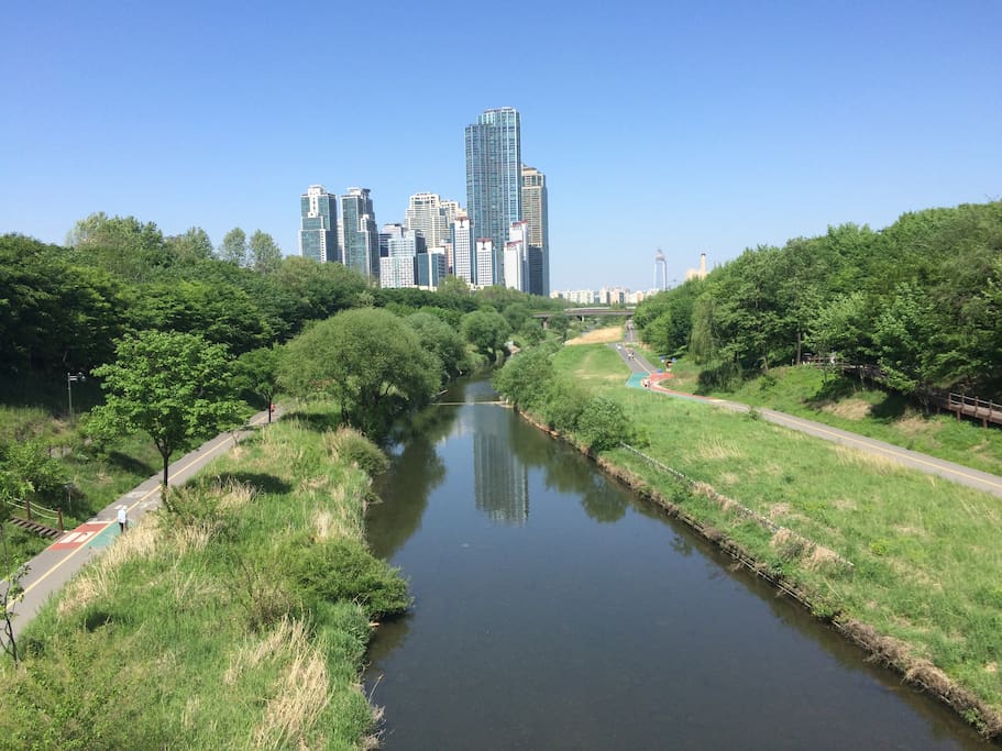 집 앞 3분거리에 양재천이 있습니다. 조깅하기 좋아요! 벚꽃도 예쁘구요!