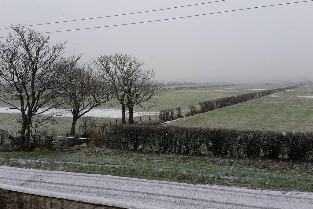winter view
