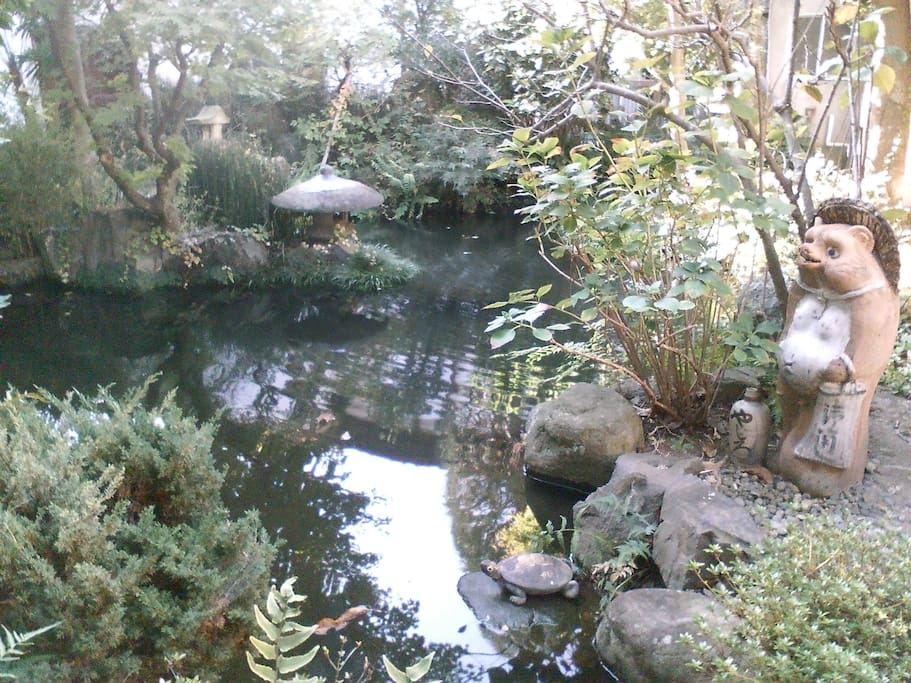 Central garden and koi pond. There are gardens throughout the inn, with several guest rooms having a private tsubo-niwa garden.