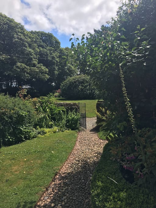 front garden