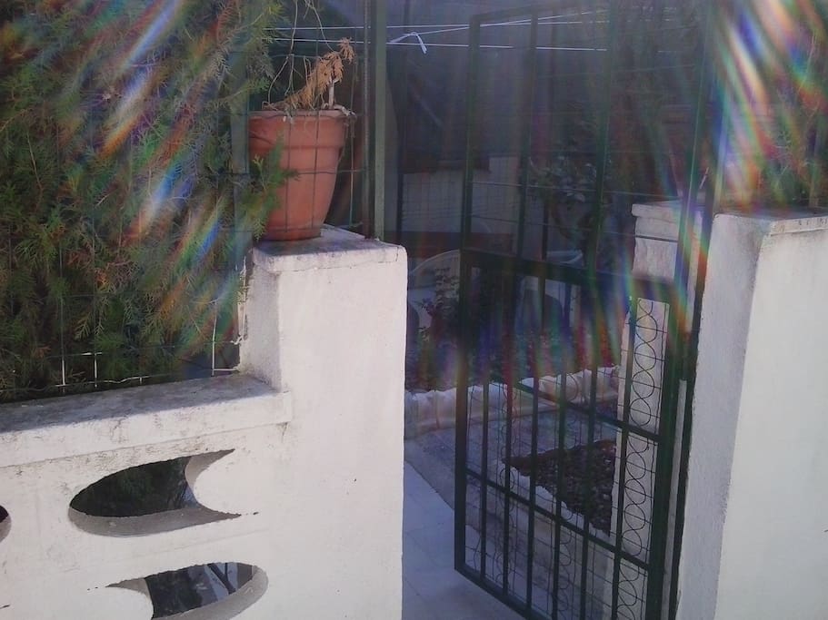 l'ingresso