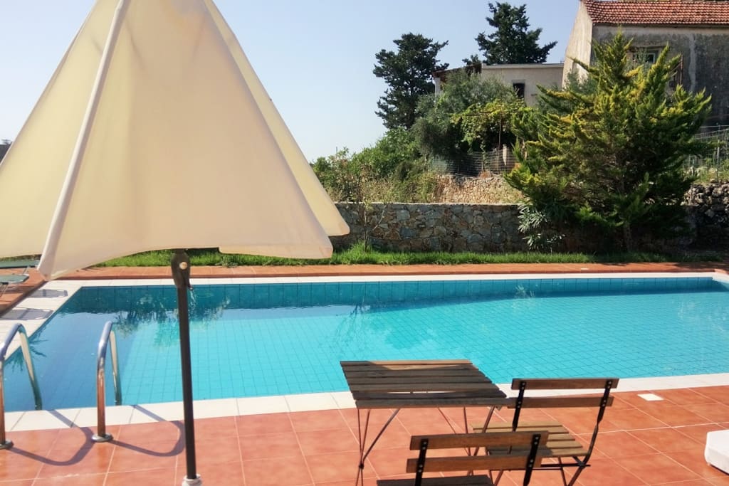 A peaceful yard with a pool to relax and daydream