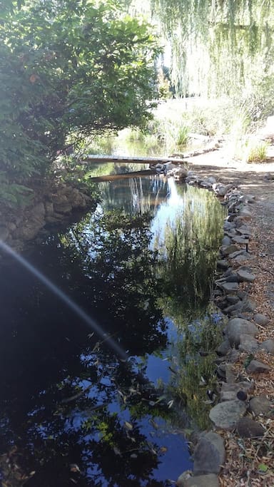Enjoy Our Private Creek