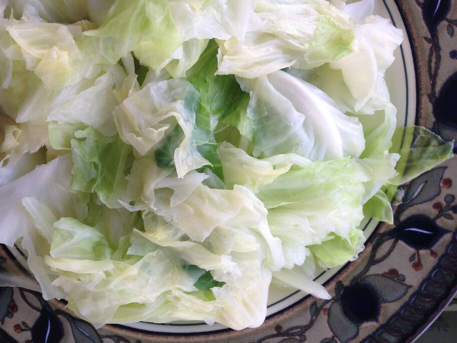 現採現吃高麗菜