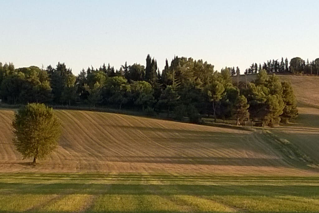 Il parco con la Villa degli Scoiattoli