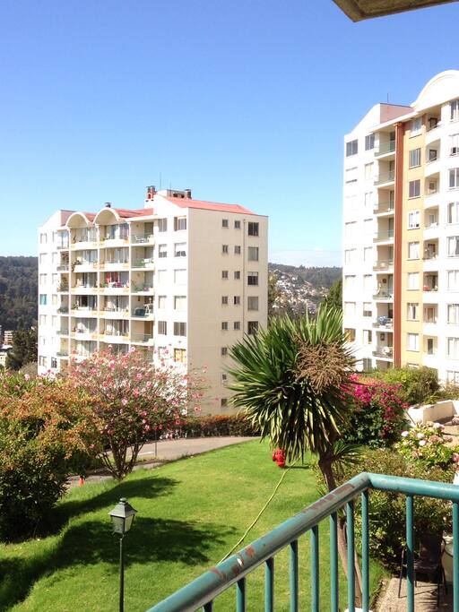 Mis vecinos desde el balcón