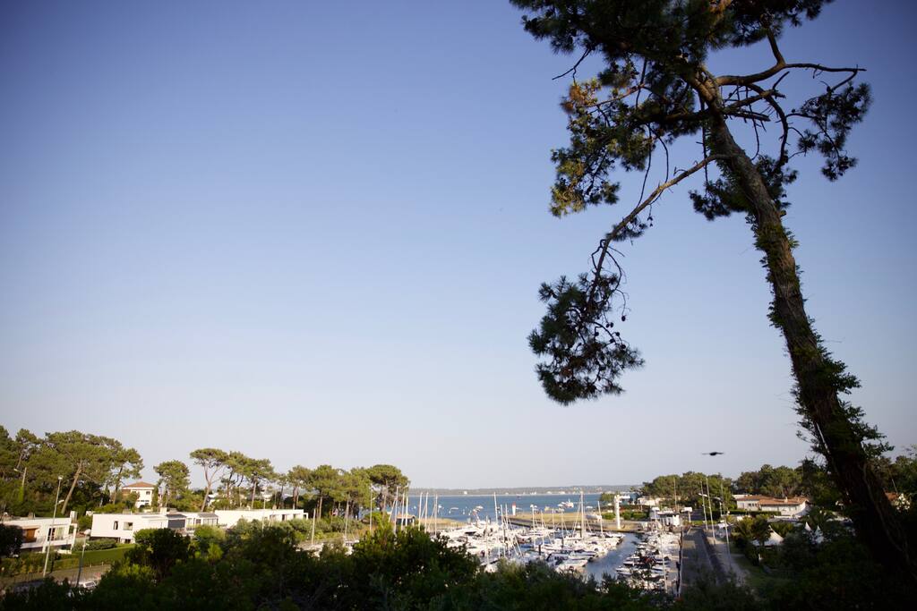 VUE BASSIN ET PORT