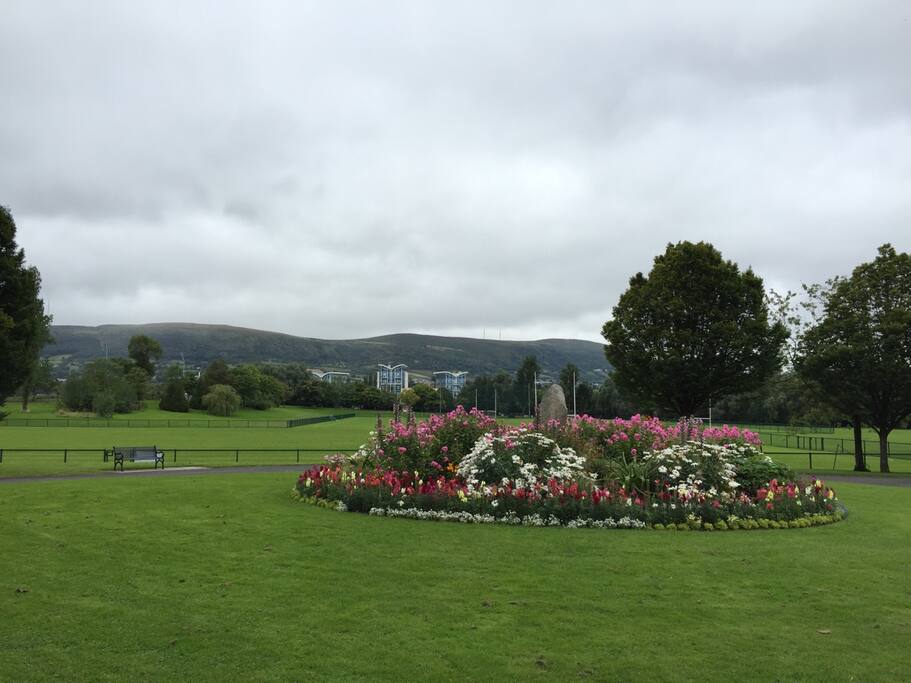Directly across the street from us is a stunning, award winning park.