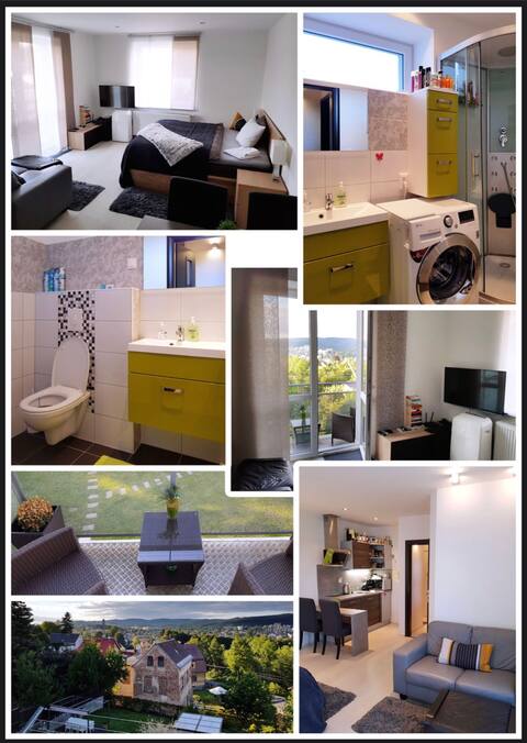 Fully equipped luxury apartment 1kk with balcony, view