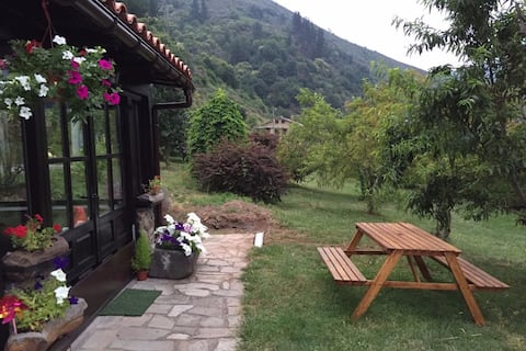 House/apartment in Cangas del Narcea VV-1517-AS