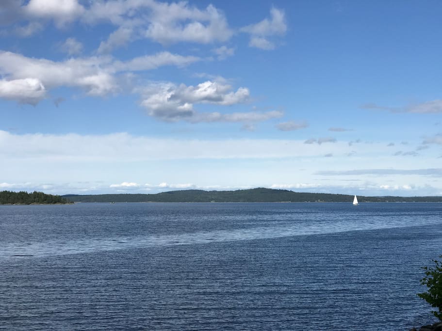 Gorgeous Ocean View