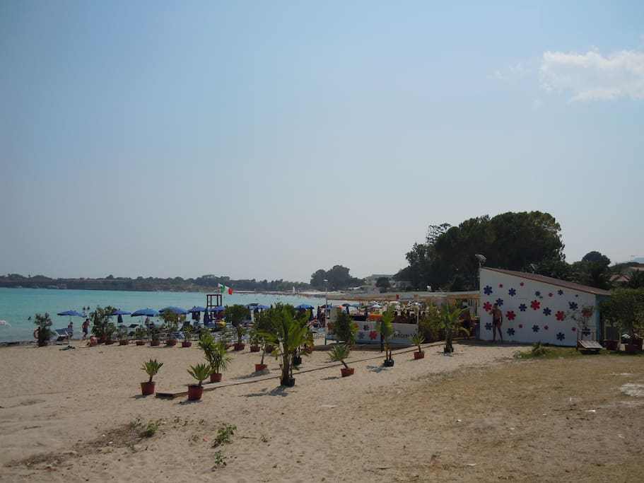 mare