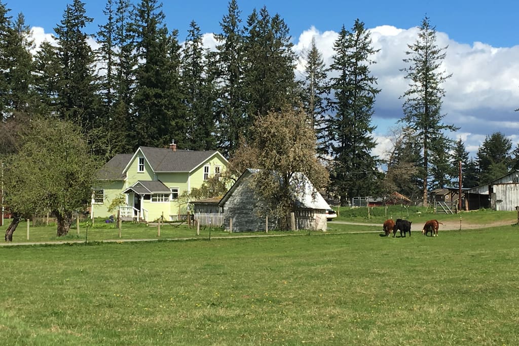 1907 Anderson Farmhouse