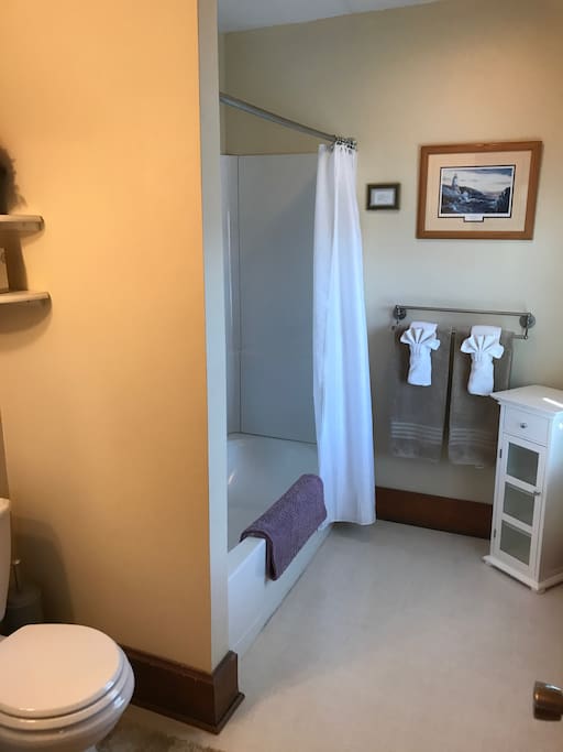 Large Private Bathroom with Tub and Shower
