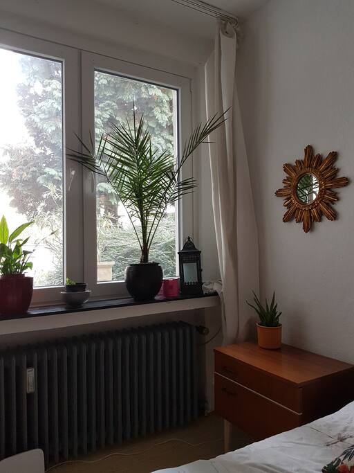 View to garden