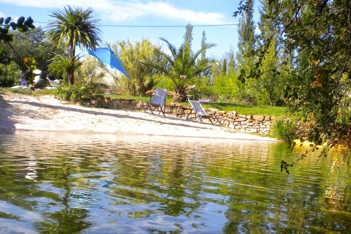 A natural swimming pool is surrounded by lush greenery, featuring sandy areas and tropical plants. Two lounge chairs are positioned on the beach-like shore, with a large blue umbrella providing shade. Reflections of trees and sky are visible on the tranquil water surface.