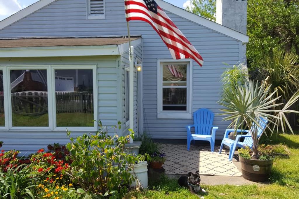 Dog-friendly front yard