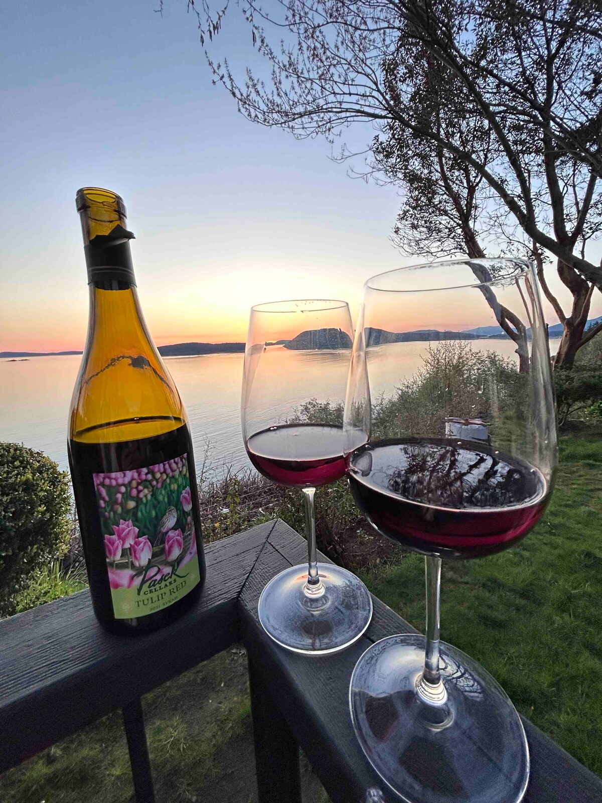 Two glasses of red wine sit on a deck railing, accompanied by an open wine bottle featuring a floral label. The tranquil body of water is visible in the background, reflecting the warm hues of a sunset. Lush greenery frames the peaceful view.