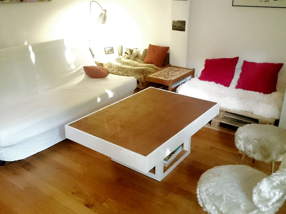 Salon - Living Room (canapé convertible lit 2 places)