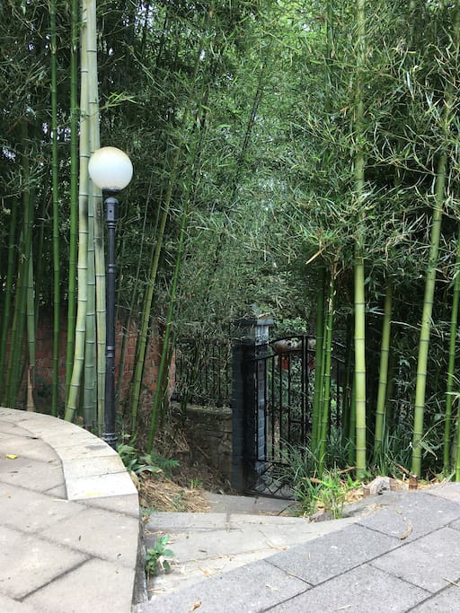 前院小径