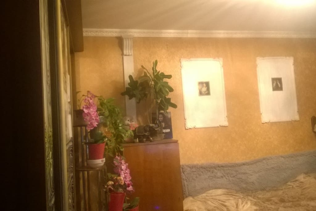 my room