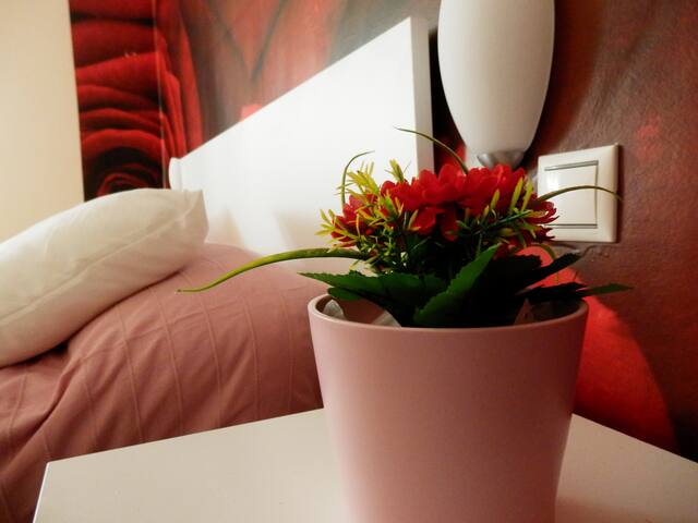 SWEET DREAMS in Cuenca