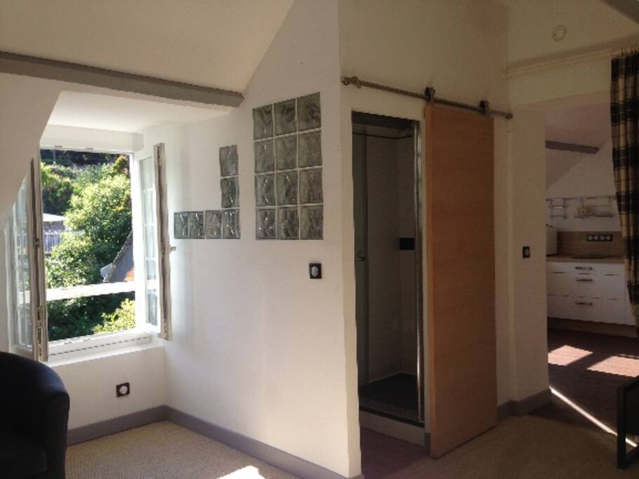 Espace chambre / salon / salle de douche