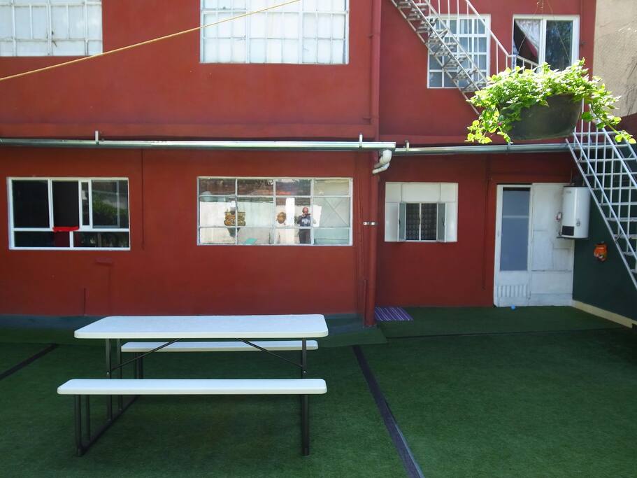 Backyard
