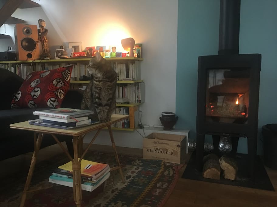 Le salon (et Rita le chat)