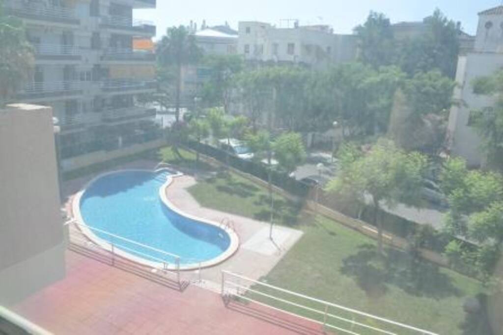 Piscina y jardín de hierba natural