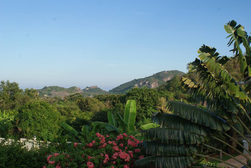 View from the room
