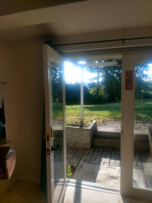 looking out the door