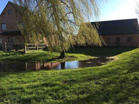 Very cozy house ‘a secret garden’ in Torhout