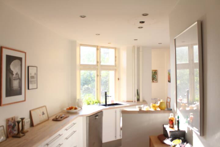 Large, bright apartment in central Copenhagen gallery image 3