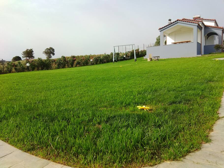 grass, garden