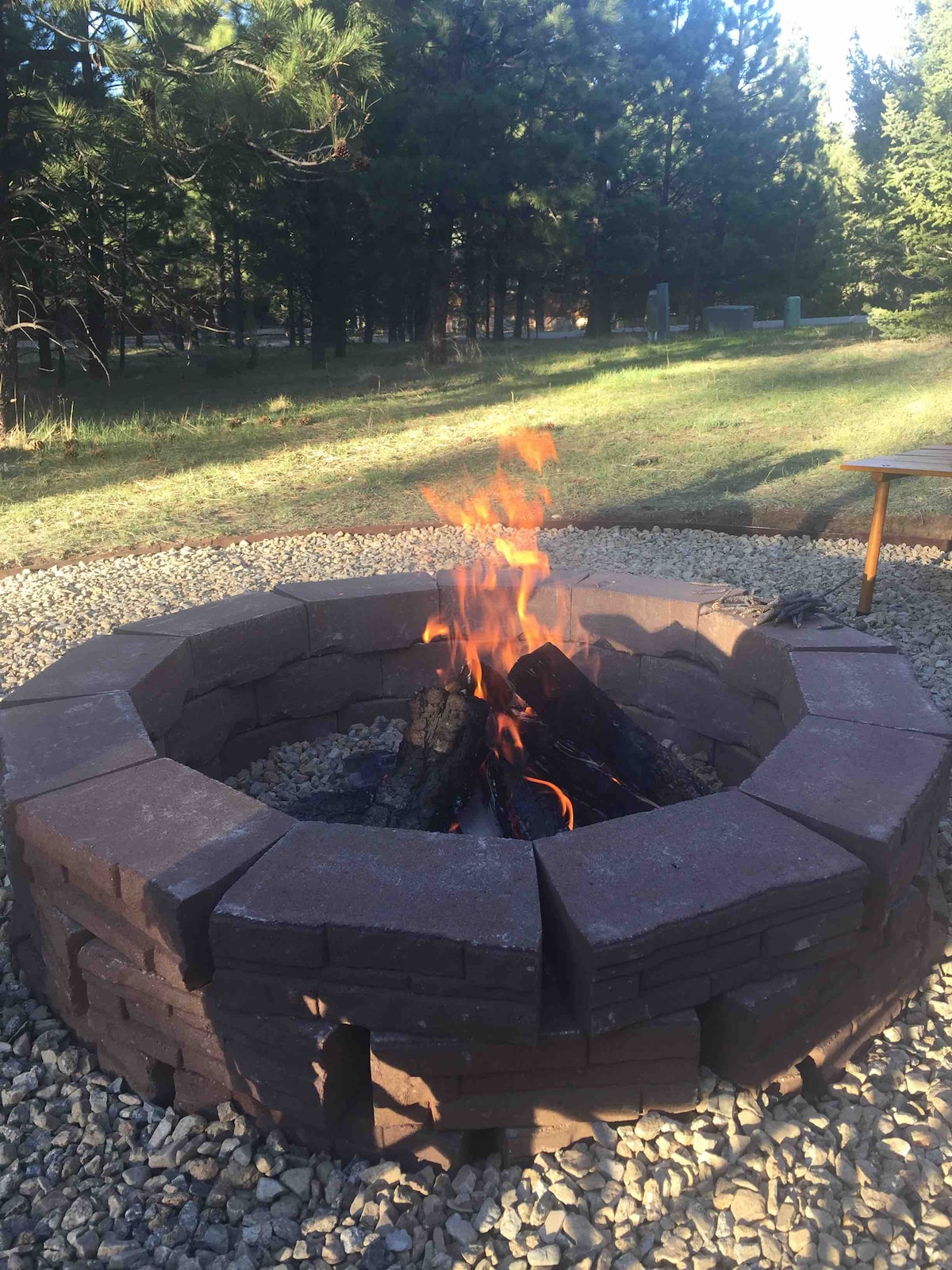 A stone fire pit is surrounded by gravel, filled with burning logs emitting a warm flame. Tall pine trees line the background, creating a natural setting for outdoor gatherings.