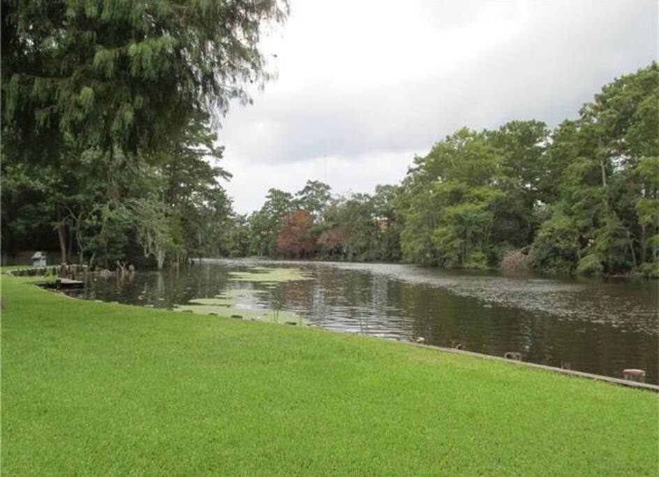 Bayou Looking South