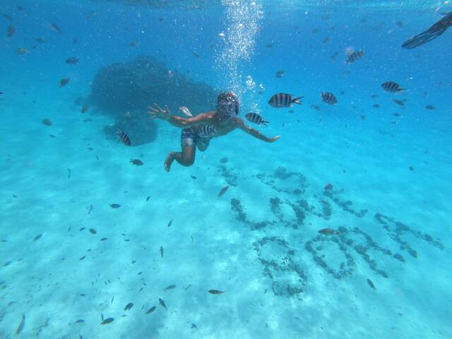 VAITEA LODGE (Chambre)