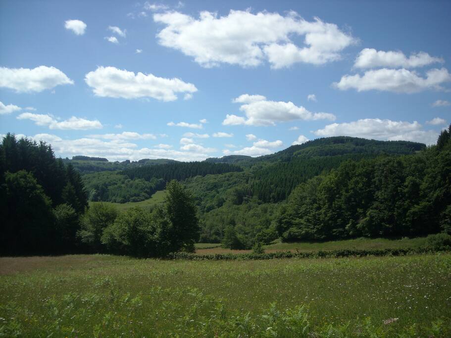 à 100 m de la tumultueuse rivière La Cure et à proximité des lacs des Settons, Chaumeçon et St Agnan