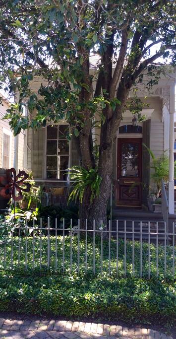 Porch shaded by Sweet Olive tree.