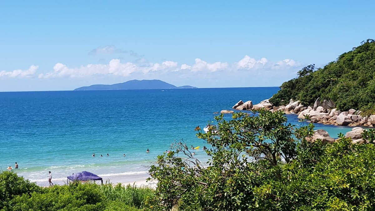 A serene beach scene is visible, featuring soft white sand and clear turquoise waters gently lapping the shore. Sunbathers enjoy the sun under colorful umbrellas, while lush green vegetation frames the beach, providing a natural contrast to the ocean. In the distance, an island can be seen against a bright blue sky.