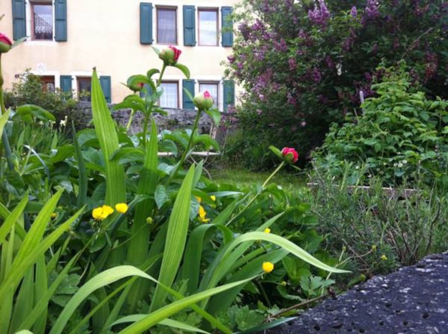 Coin jardin