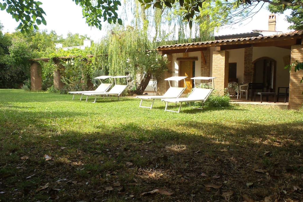 Il giardino riservato agli ospiti dell'appartamento. The garden in front of the apartment of guests.