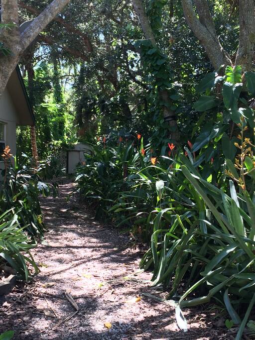 Tropical Surroundings
