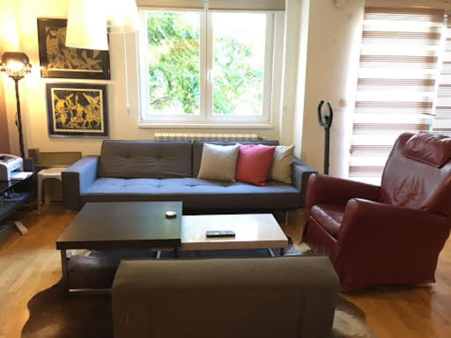 The spacious living room (angle 1)