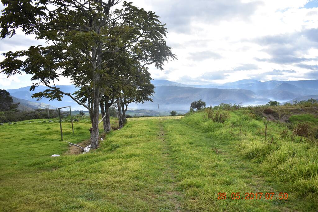 Entrada Principal
